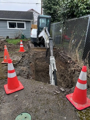 Professional Plumbing Services