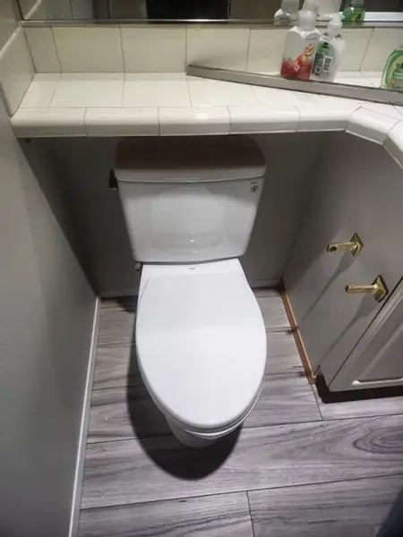 Professional Plumbing Services